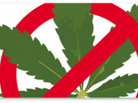 Россия: Закручивание гаек продолжается - у России свой путь