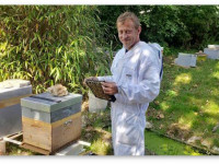 Французский пчеловод научил пчел делать мёд из конопли?