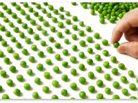 Исследование: Непсихоактивная конопля может помочь в лечении ОКР