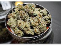 Пенсильвания может скоро стать 24-ым штатом, легализовавшим марихуану