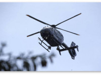 Как бабки защищают свои грядки, или Никогда не связывайся с 81-летней гровершей