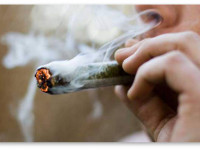 США: Министр обороны не исключает приёма на службу в Пентагон потребителей конопли