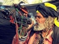 Конопляная магия