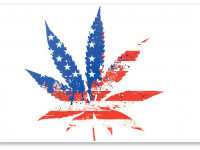 2016 год станет переломным для легализации марихуаны