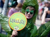 Польша: Нижняя палата одобрила проект легализации медицинской конопли