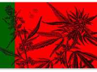 Лиссабонский Договор: Как Португалия отказалась от войны с наркотиками и выиграла