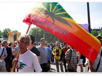 Англия: Декриминализация каннабиса: Европа просыпается