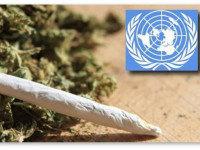 США: Медицинские эксперты призывают ООН к декриминализации ПАВ