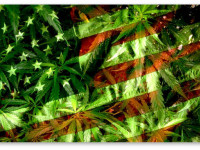 США: Администрация Обамы просит отклонить иск против конопли