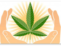 Луизиана, США: Принят закон о медицинской марихуане. И другие заголовки