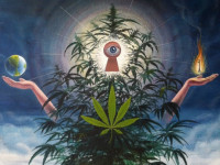 О методах отмены запрета на коноплю