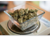 Медицинская конопля и марихуана для отдыха, в чем же разница?