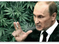 Россия: Водителей обяжут сдавать анализы мочи и крови