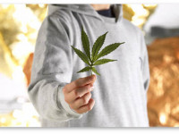 Исследование: Марихуана на 3 порядка безопаснее, чем алкоголь Исследование: Марихуана на 3 порядка безопаснее, чем алкоголь