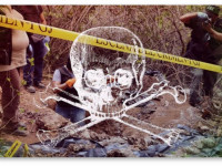 Роль марихуаны в массовых убийствах и другие перлы прогибиционизма