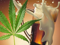 Бухнуть без похмелья: Пиво с каннабисом появится в США