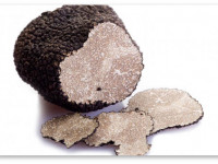 В трюфелях нашли аналогичные марихуане психоактивные вещества