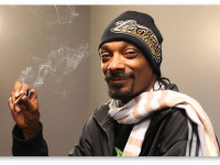 Snoop Dogg запускает собственный конопляный портал