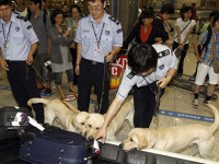 Южная Корея: Растёт количество конфискованных на границе наркотиков