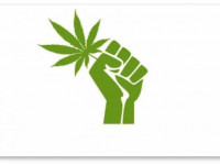 Соцопрос: Проголосует ли Огайо за легализацию в этом ноябре?