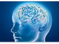 Приводит ли марихуана к инсульту?