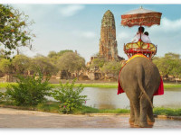 Опрос Thai Visa: Почти 80% участников - за легализацию марихуаны в Таиланде