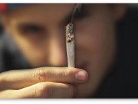 Теннесси: Два крупнейших города штата декриминализуют хранение марихуаны