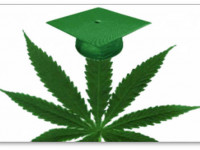 США: Большинству университетов не интересно выращивать марихуану для DEA