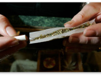 Исследование: Реформы в области марихуаны не повышают ее приемлемость среди подростков