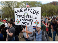 США: Все больше врачей выступают за легализацию марихуаны