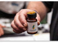 США: Многомиллиардная индустрия марихуаны вскоре может выйти из "серого рынка"