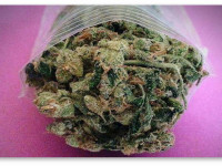 США: Уровень употребления марихуаны по штатам и прогноз успеха легализации в 2016 году