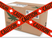 Власти Швейцарии борются с потребителями конопли