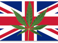 Великобритания: Полиция экспериментирует с декриминализацией веществ