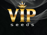 VIP Seeds: стабильность, качество и результат