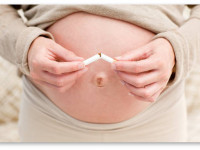 Употребление конопли и фертильность