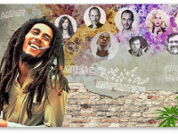 Конопля и творчество: Что говорят о конопле творческие люди?