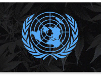 Быть войне: Итоги Конференции ООН, посвященной проблеме наркотиков