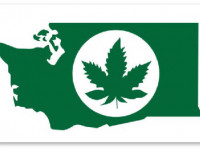 США: Легальный рынок марихуаны продолжает конкурировать с чёрным рынком