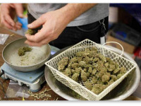 Канада тратит на марихуану для ветеранов в 10 раз больше, чем в прошлом году, и другие заголовки