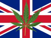 Великобритания: Новые инициативы по легализации конопли
