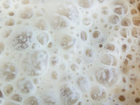 О пользе ГМО: Как дрожжи производят ТГК