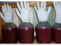 Россия: Госдума поддержала закон об уголовной ответственности за пропаганду наркотиков в интернете