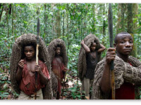 Как марихуана защищает пигмеев от кишечных паразитов