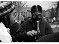 Марихуана в США: Всё больше употребляют, всё меньше злоупотребляют